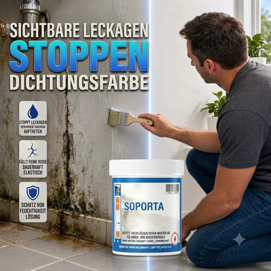 Wasserdichte Versiegelung für verschiedene Oberflächen – Transparent, witterungsbeständig und einfach aufzutragen